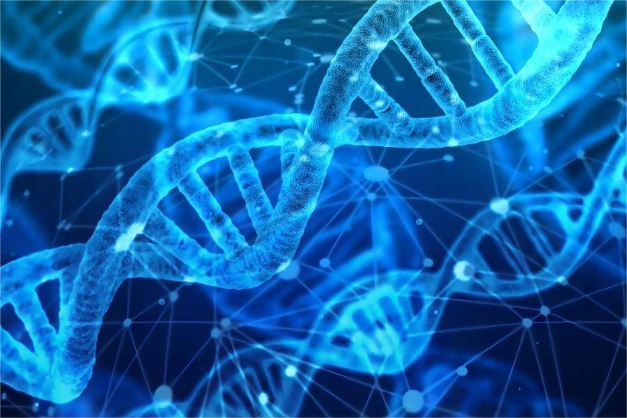 DNA Sequencing and Analysis